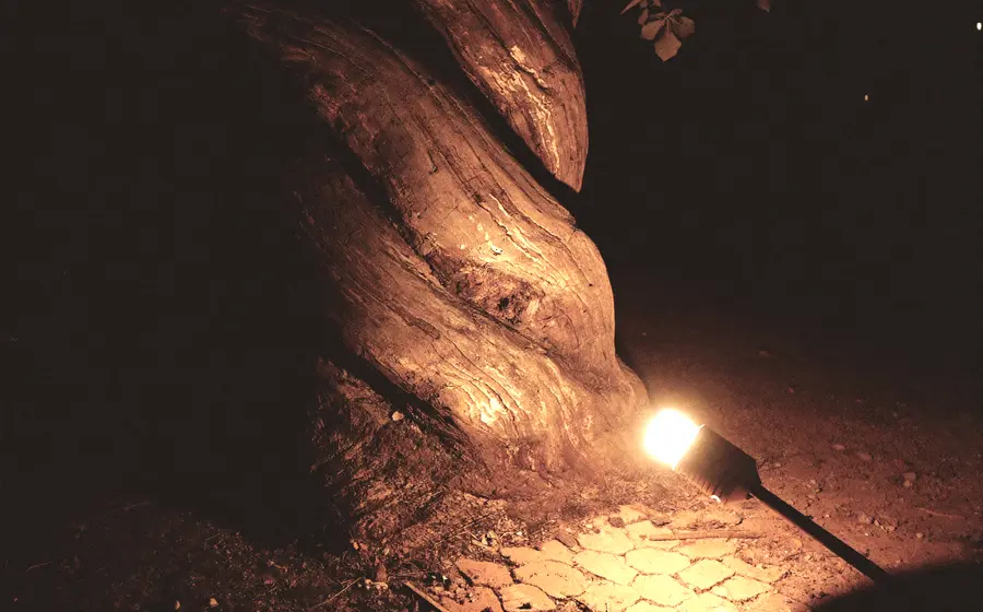 Trung i vjetër hardhie i ndriçuar nga një llambë e ngrohtë natën
